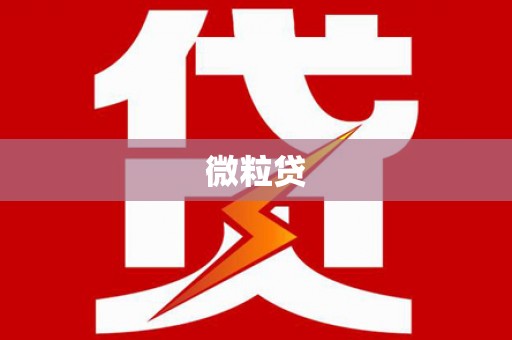 德州微粒贷