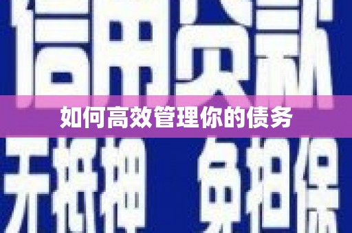 德州如何高效管理你的债务