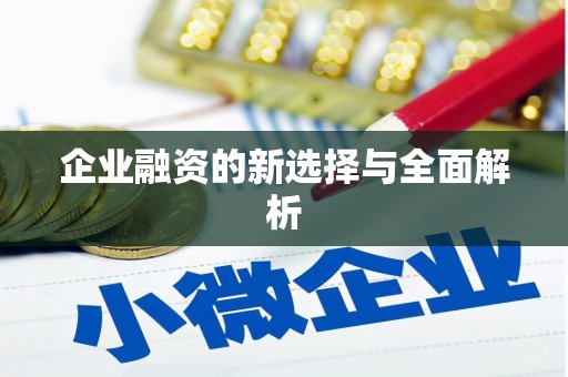 德州企业融资的新选择与全面解析