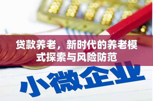 德州贷款养老，新时代的养老模式探索与风险防范