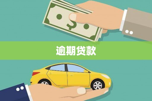 德州逾期贷款