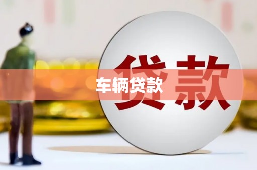 德州车辆贷款