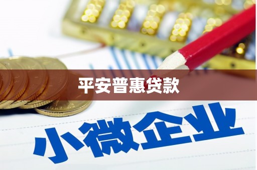 德州平安普惠贷款
